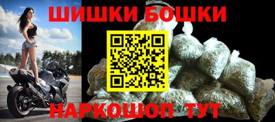 прущие грибы Владивосток