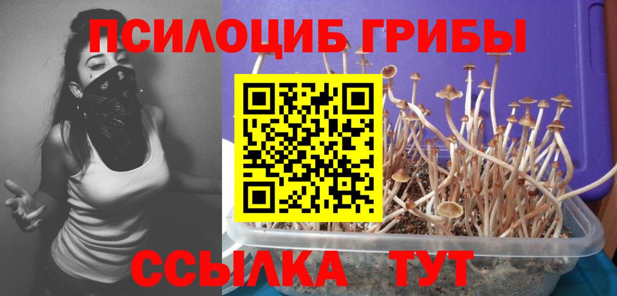 Воскресенск  Псилоцибиновые грибы GOLDEN TEACHER  Вход с VPN 