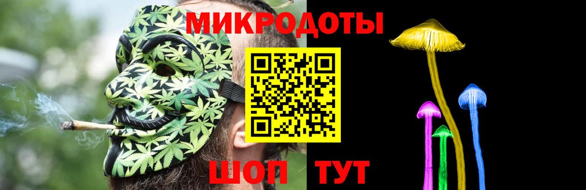 Галлюциногенные грибы Psilocybine cubensis Воскресенск